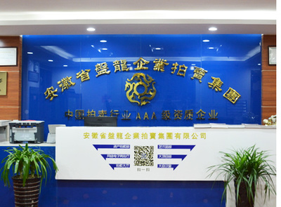 安徽盤龍企業(yè)拍賣集團在文物拍賣領域的角色與前景