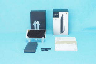 日本數字音頻播放器購買指南與技術發展趨勢